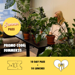 Summer offer